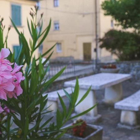 Casa Con Giardino In Mugello A 30 Minuti Da Firenze "Soleluna" Osteria di Novoli Exteriér fotografie