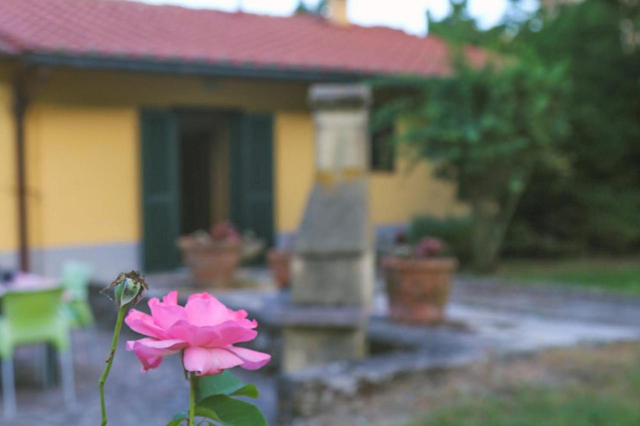 Casa Con Giardino In Mugello A 30 Minuti Da Firenze "Soleluna" Osteria di Novoli Exteriér fotografie